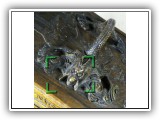 FEATURED IN: MAH JONGG: The Art of the Game (#X42)
